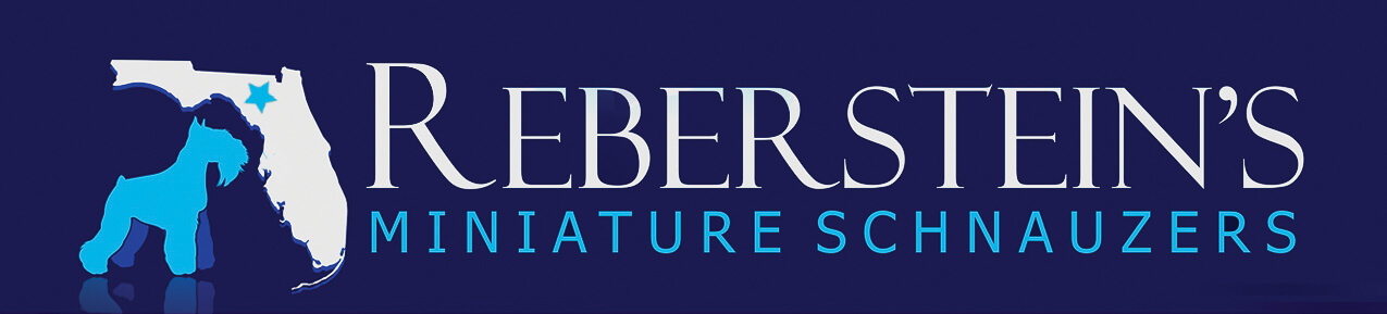 Reberstein's Miniature Schnauzers Logo