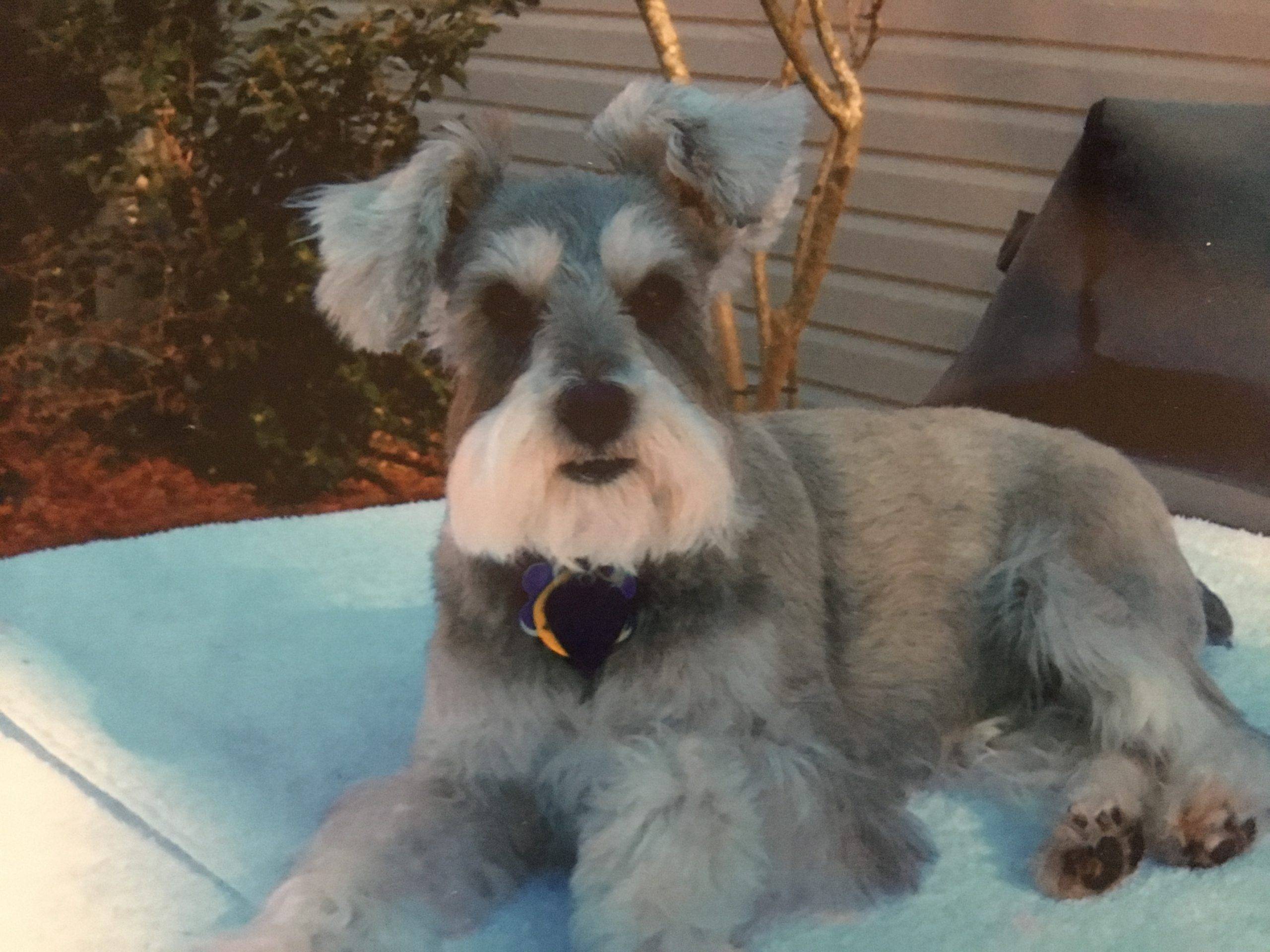 TJ-Rainbow Bridge picture TJ-Rainbow Bridge picture