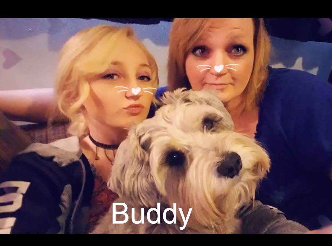 Buddy-Rainbow Bridge Picture