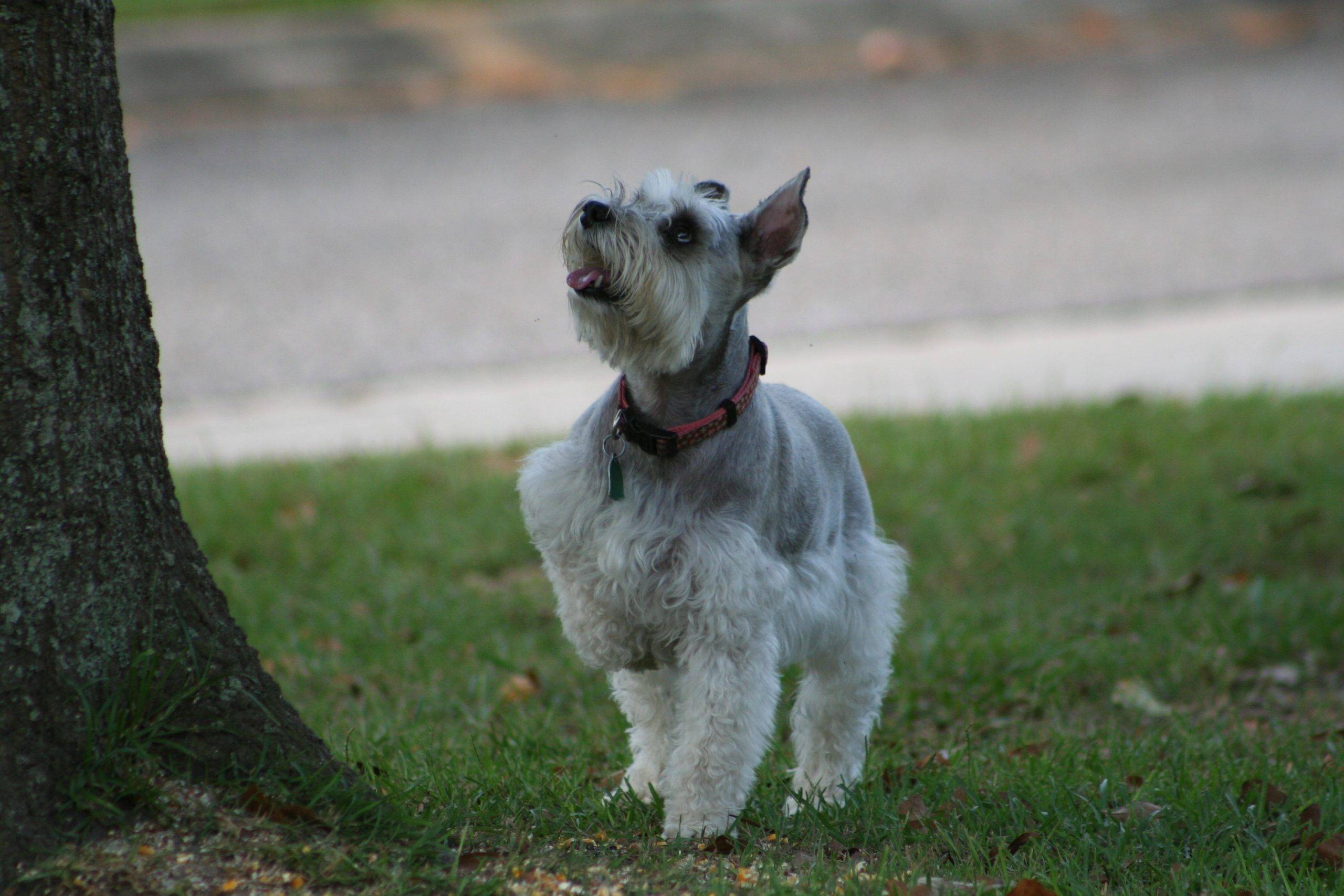 Madison-Rainbow Bridge Picture