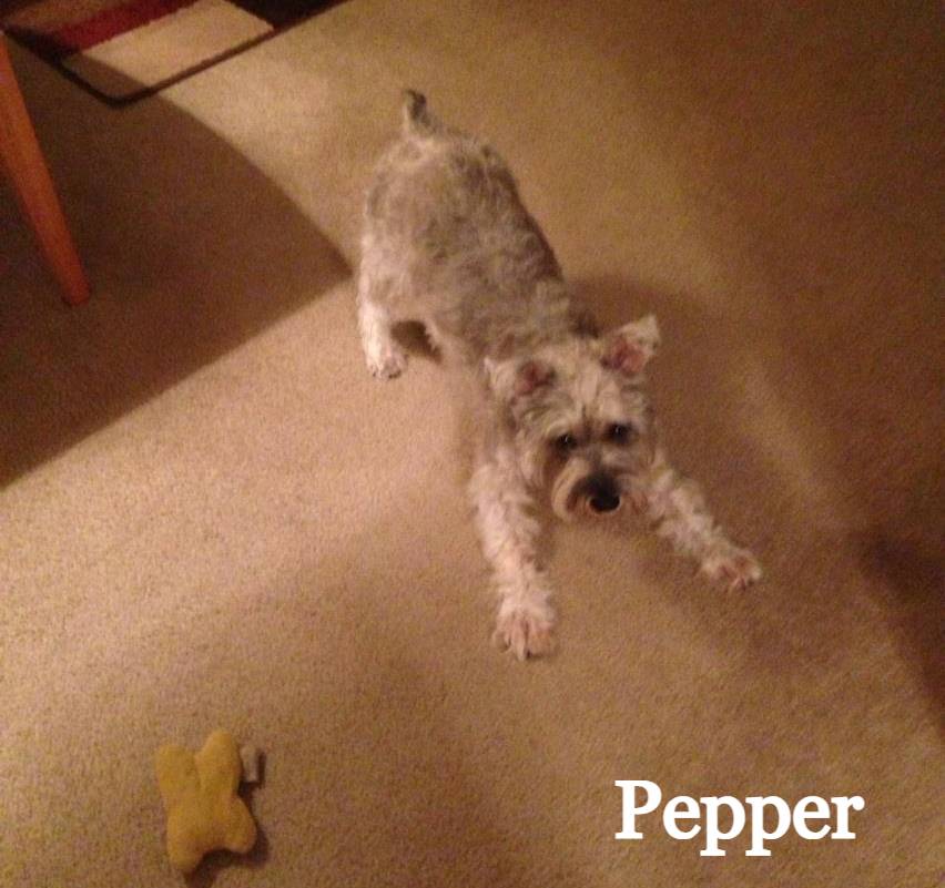 pepper-rainbow bridge