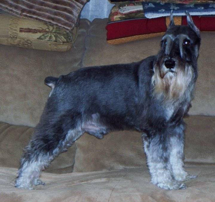 Skipper "Skip the small stuff"