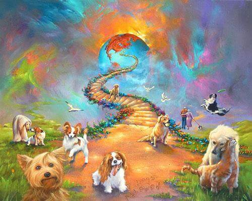 Rainbow Bridge By Rebersteins