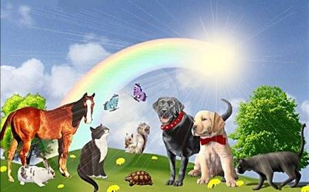 Rainbow Bridge By Rebersteins