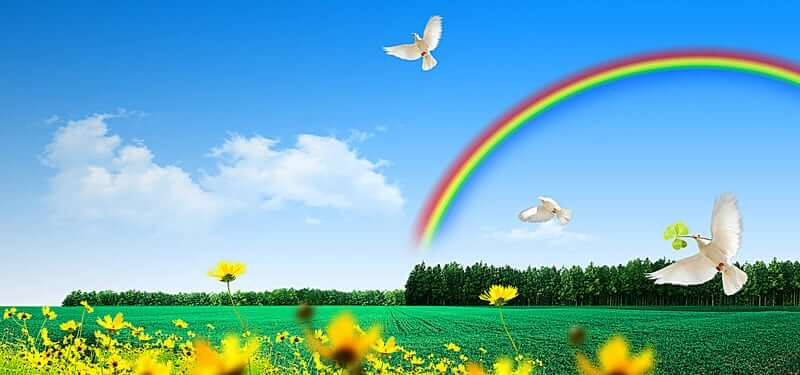 Rainbow Bridge By Rebersteins