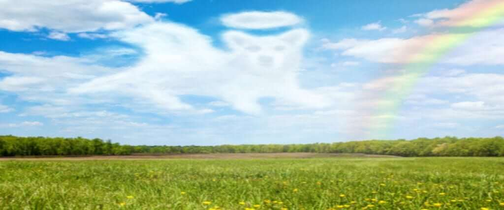 Rainbow Bridge By Rebersteins