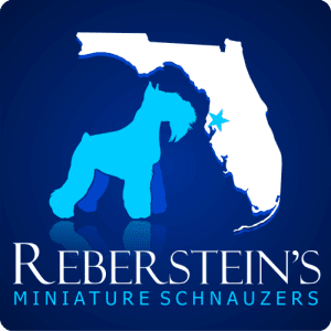 Rebersteins Final Logo Homepage Slider