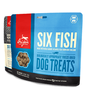 SIX FISH