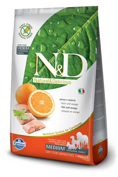 FISH & ORANGE ADULT MEDIUM