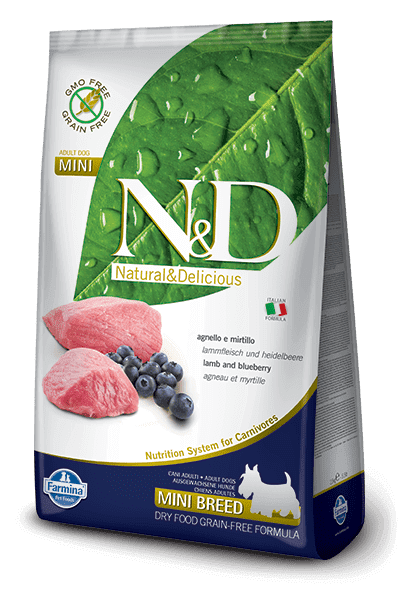 LAMB & BLUEBERRY ADULT MINI