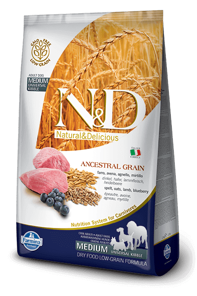 LAMB & BLUEBERRY ADULT MEDIUM