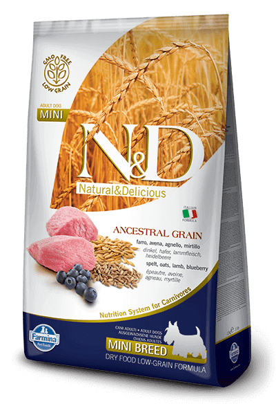 LAMB & BLUEBERRY ADULT MINI
