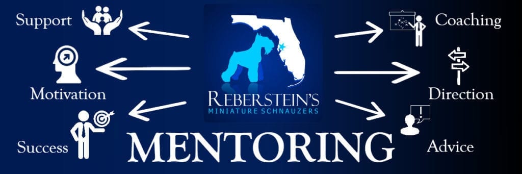 Reberstein's Mentoring Logo