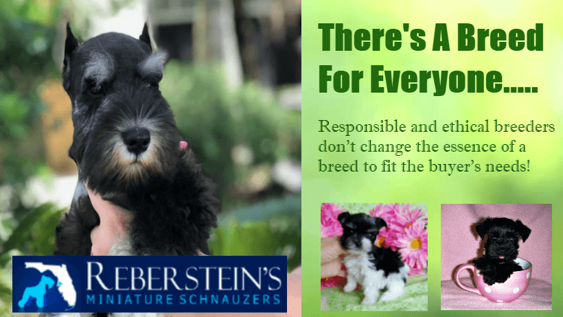 Responsible Dog Breeding