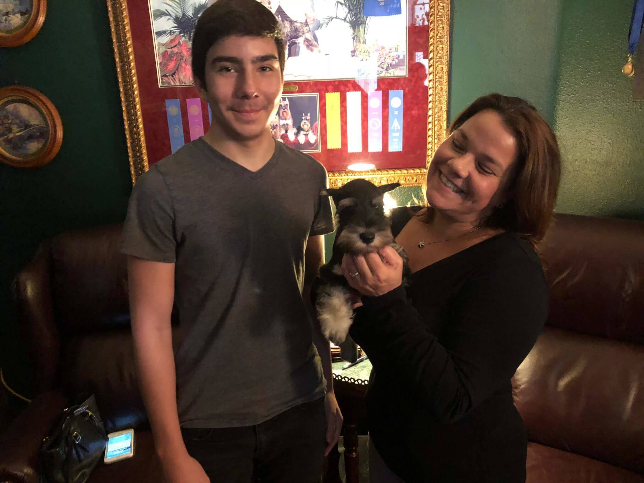 Reberstein Miniature Schnauzer Puppies Leaving The Nest