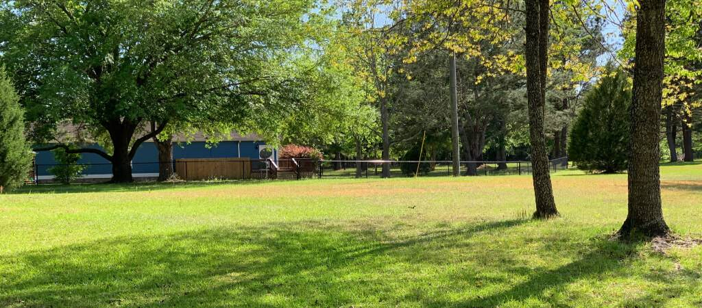 Live Oak  Florida Home To Reberstein's Miniature Schnauzers