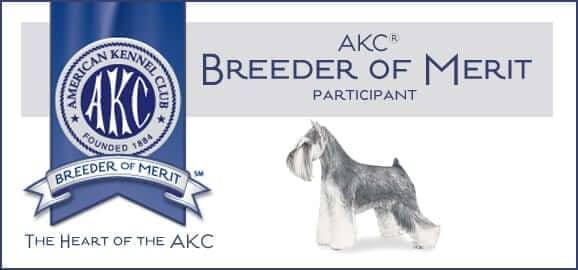 Reberstein's Miniature Schnauzers AKC Breeder Of Merit