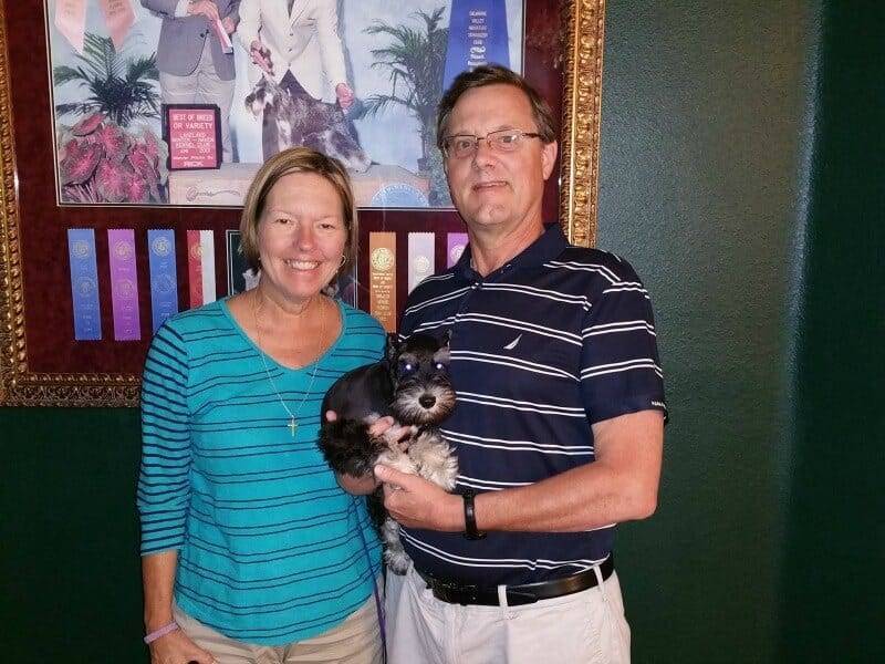 Past Puppies By Reberstein's Miniature Schnauzers