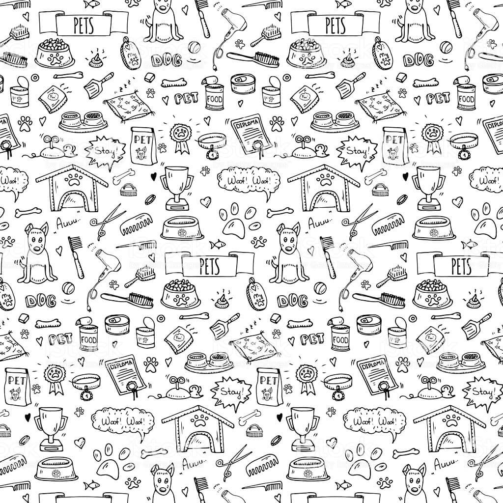 Reberstein's Miniature Schnauzer Puppy Background