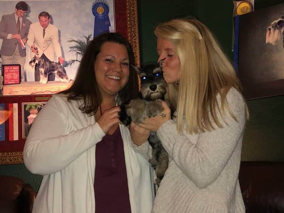 Reberstein Miniature Schnauzer Puppies Leaving The Nest