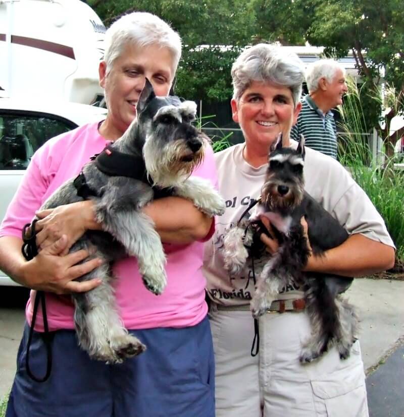 Reberstein's Miniature Schnauzer Puppies