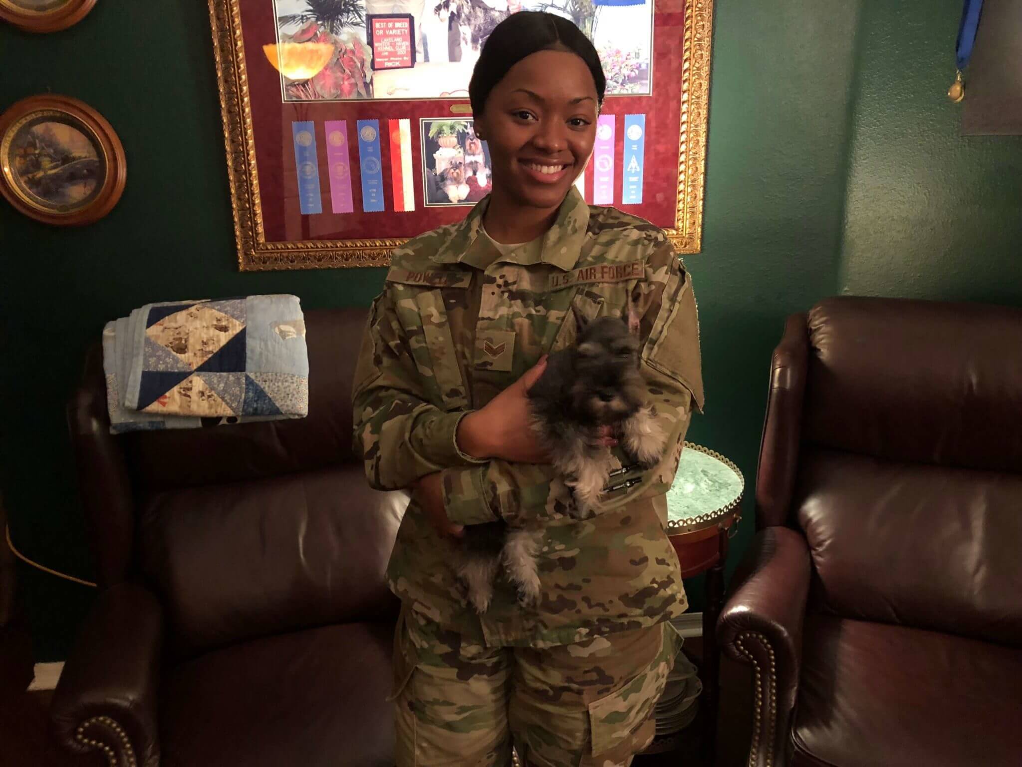 Reberstein Miniature Schnauzer Puppies Leaving The Nest